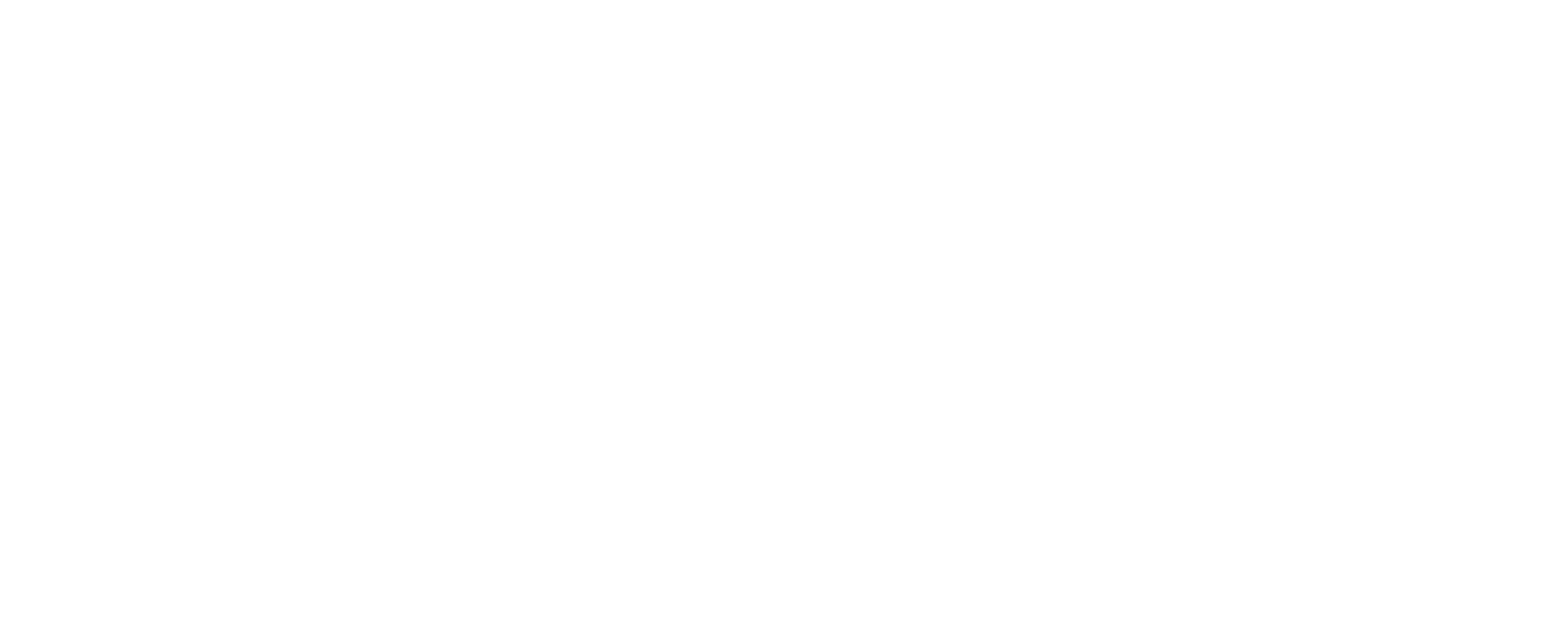 Elite Styles Fashion